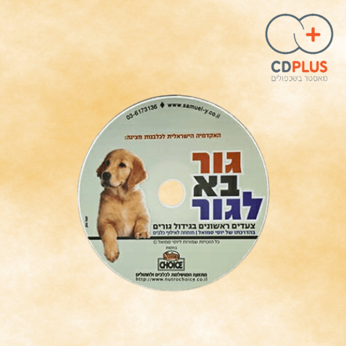 עיצוב ללא שם 3 1 - שכפול דיסקים